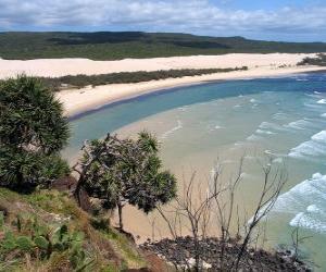 yapboz Fraser Island, kumlu adanın 122 kilometre uzunluğunda ve dünyanın türünün en büyüğü. Avustralya.